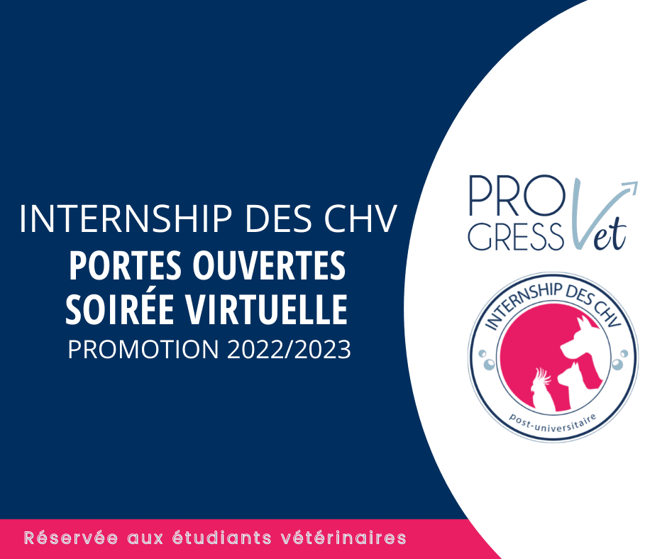 INTERNSHIP – SOIRÉE PORTES OUVERTES VIRTUELLE
