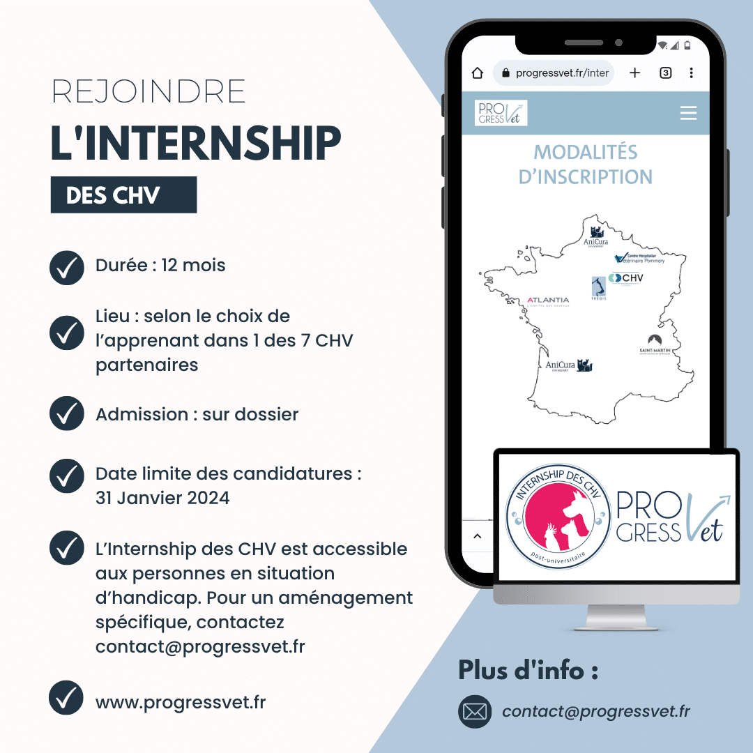 Recrutement internship 2024-2025
