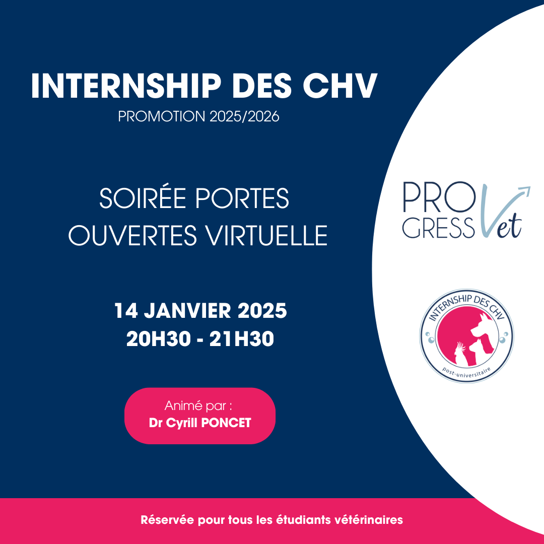 Internship des CHV 2025-2026